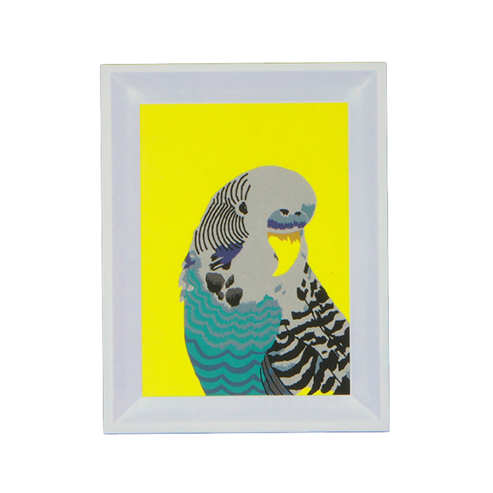 Jonathan Adler x Michaels 5" x 7" Parrot Paint-By-Number Framed Kit